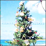 Island Style Christmas (PSCR-5417)