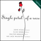 John Hicks / Single petal of a rose