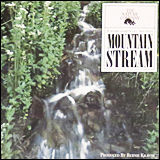 Environmental Sound Mountain Stream