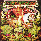 Spyro Gyra / Morning Dance (BVCJ-37475)